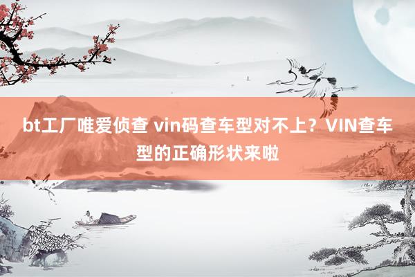 bt工厂唯爱侦查 vin码查车型对不上？VIN查车型的正确形状来啦