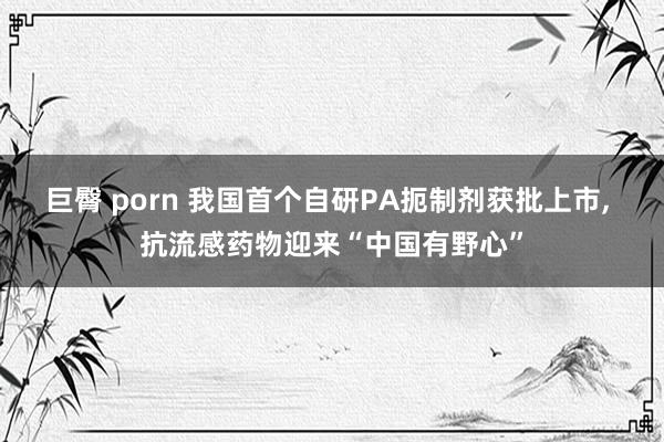 巨臀 porn 我国首个自研PA扼制剂获批上市, 抗流感药物迎来“中国有野心”