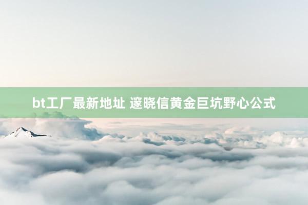 bt工厂最新地址 邃晓信黄金巨坑野心公式