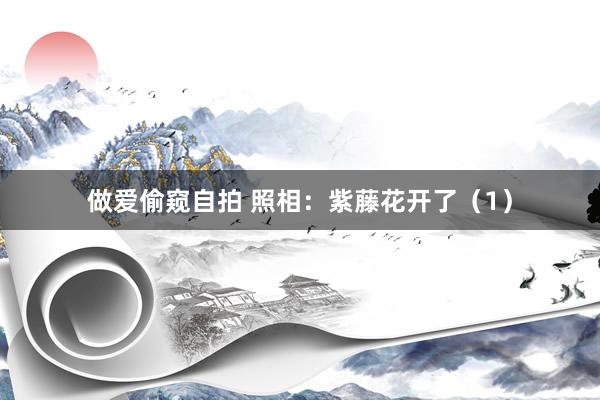 做爱偷窥自拍 照相：紫藤花开了（1）